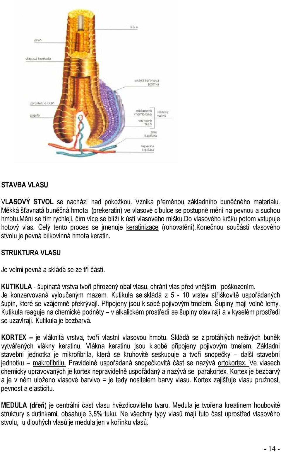 do vlasového krčku potom vstupuje hotový vlas. Celý tento proces se jmenuje keratinizace (rohovatění).konečnou součástí vlasového stvolu je pevná bílkovinná hmota keratin.