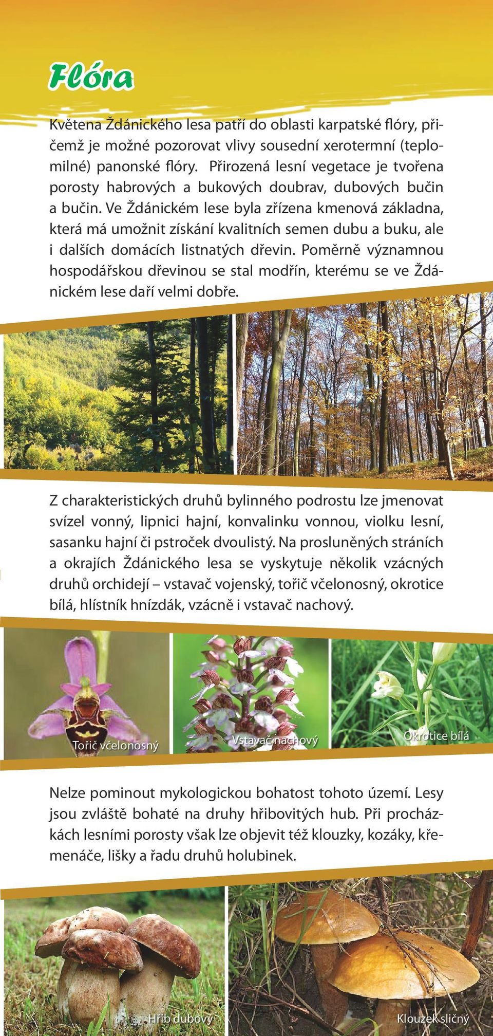 Ve Ždánickém lese byla zřízena kmenová základna, která má umožnit získání kvalitních semen dubu a buku, ale i dalších domácích listnatých dřevin.