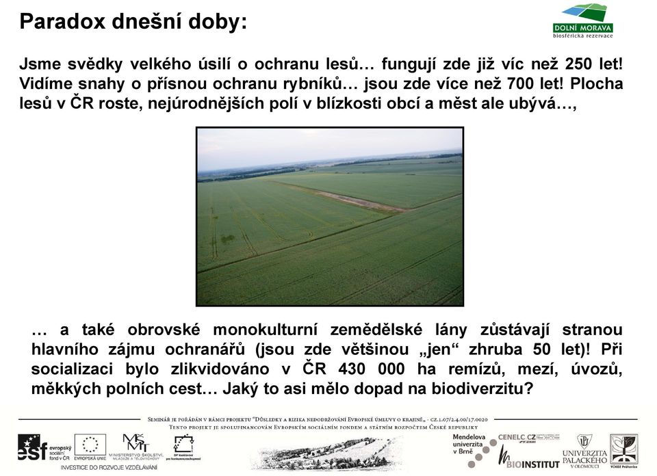 Plocha lesů v ČR roste, nejúrodnějších polí v blízkosti obcí a měst ale ubývá, a také obrovské monokulturní zemědělské lány