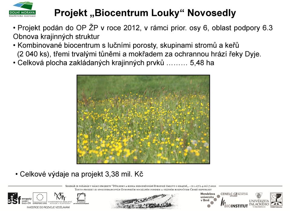 3 Obnova krajinných struktur Kombinované biocentrum s lučními porosty, skupinami stromů