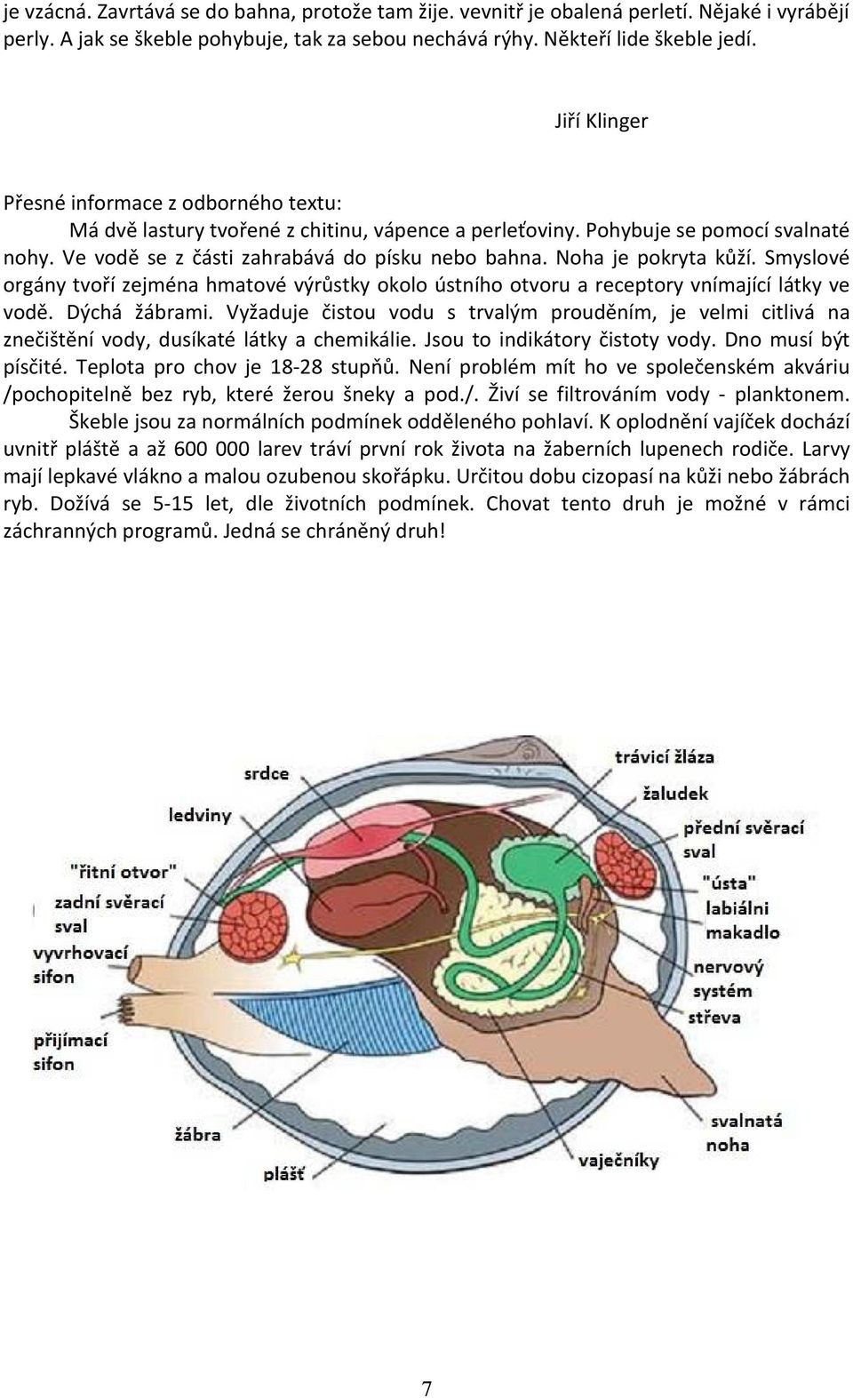 Noha je pokryta kůží. Smyslové orgány tvoří zejména hmatové výrůstky okolo ústního otvoru a receptory vnímající látky ve vodě. Dýchá žábrami.