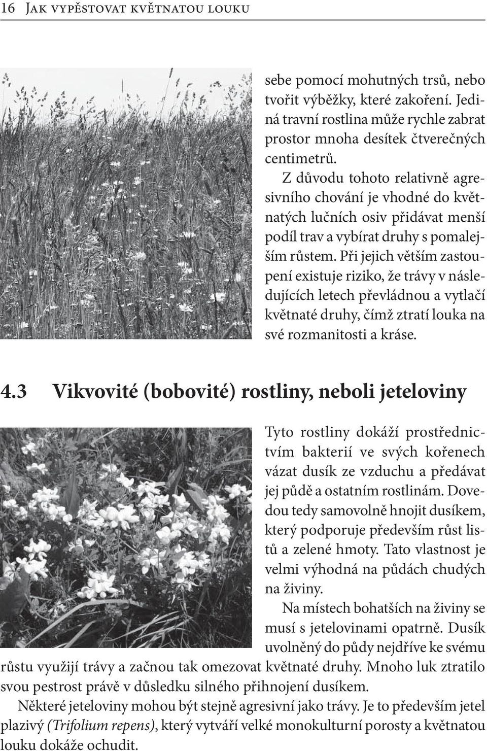 Při jejich větším zastoupení existuje riziko, že trávy v následujících letech převládnou a vytlačí květnaté druhy, čímž ztratí louka na své rozmanitosti a kráse. 4.