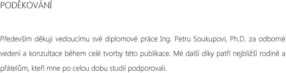 za odborné vedení a konzultace během celé tvorby této