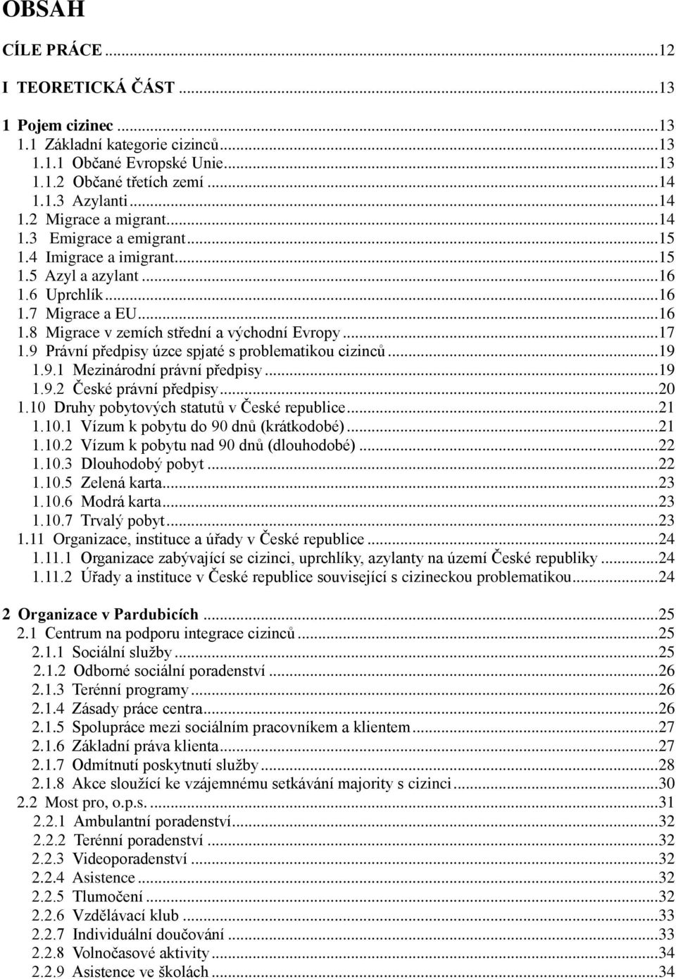 9 Právní předpisy úzce spjaté s problematikou cizinců... 19 1.9.1 Mezinárodní právní předpisy... 19 1.9.2 České právní předpisy... 20 1.10 Druhy pobytových statutů v České republice... 21 1.10.1 Vízum k pobytu do 90 dnů (krátkodobé).