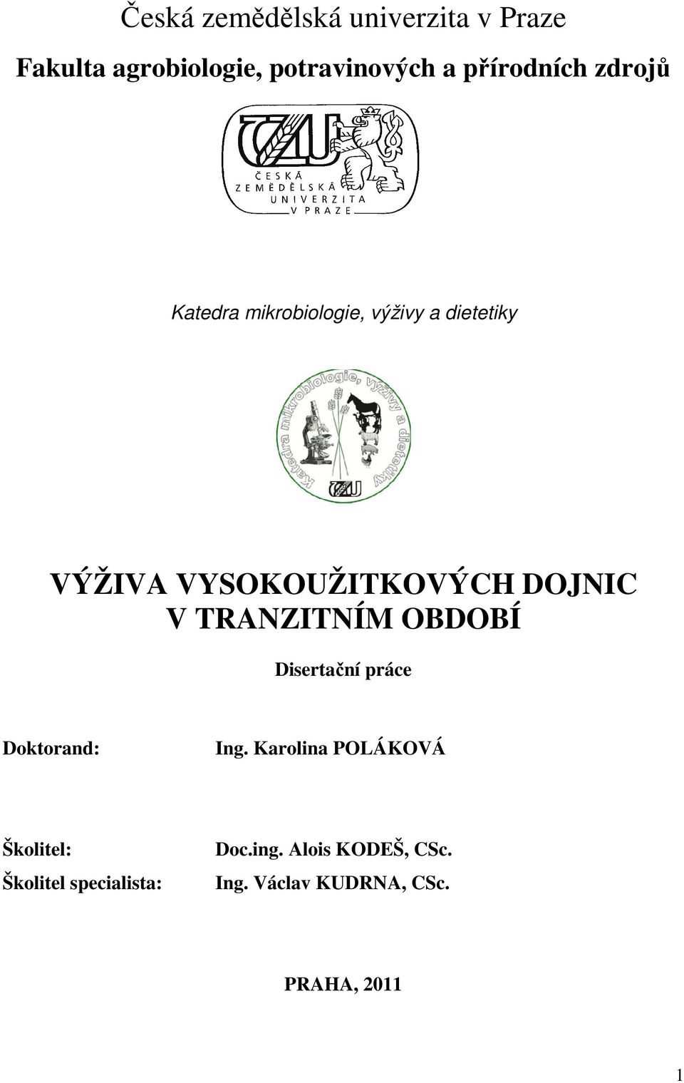 DOJNIC V TRANZITNÍM OBDOBÍ Disertační práce Doktorand: Ing.