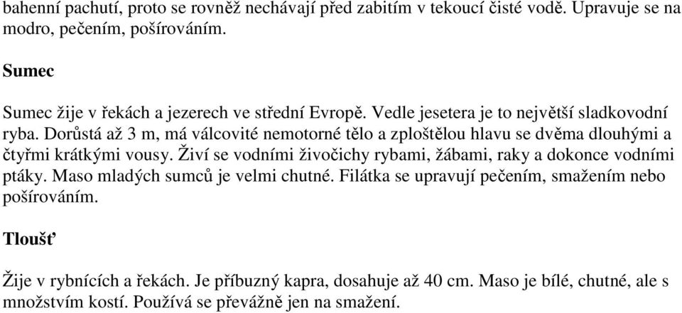 Dorůstá až 3 m, má válcovité nemotorné tělo a zploštělou hlavu se dvěma dlouhými a čtyřmi krátkými vousy.