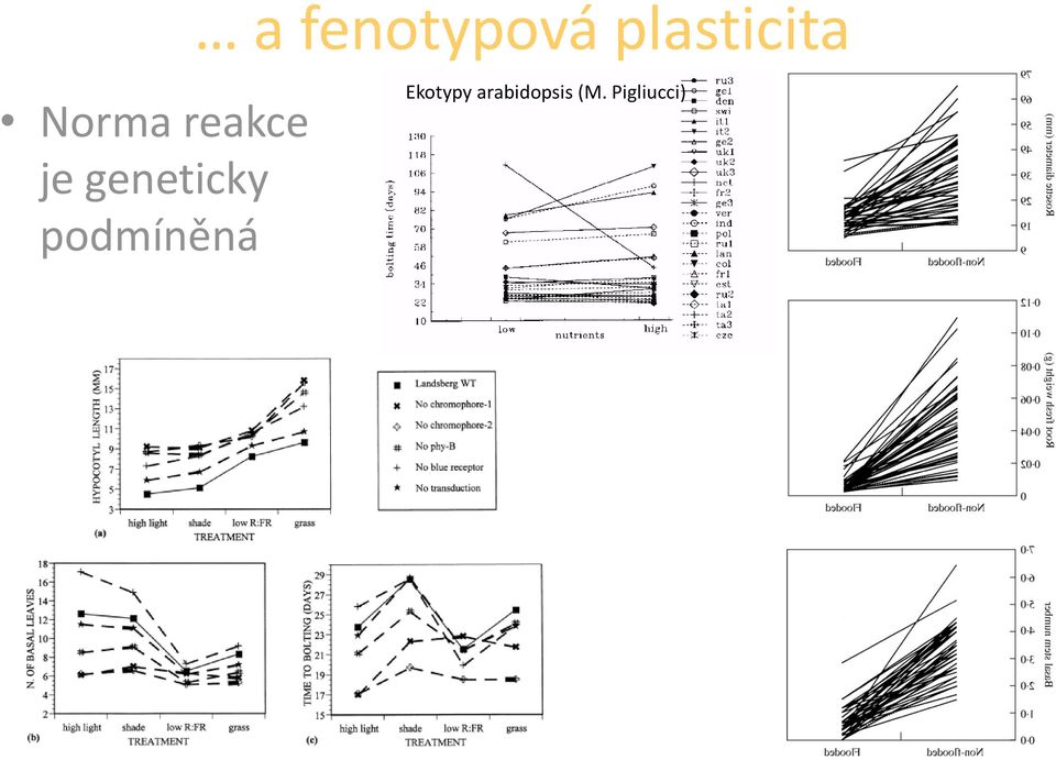 geneticky podmíněná