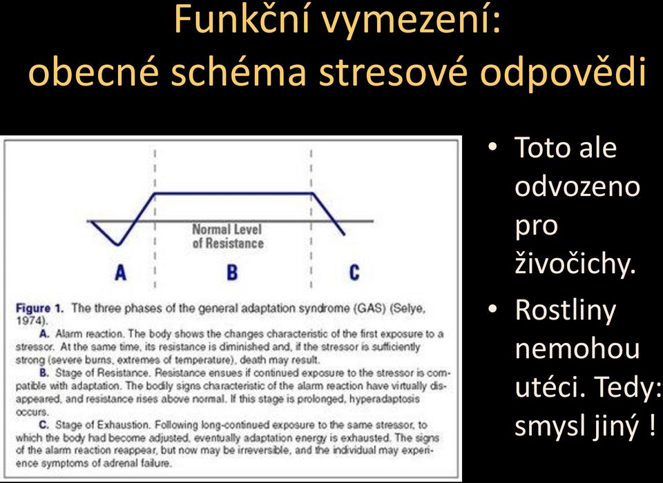 ale odvozeno pro živočichy.