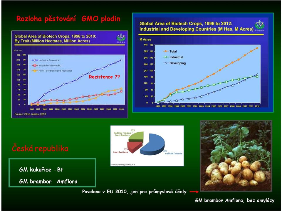 ? Česká republika GM kukuřice -Bt GM brambor