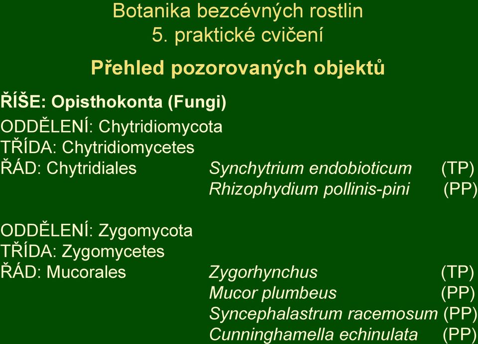Chytridiomycota TŘÍDA: Chytridiomycetes ŘÁD: Chytridiales Synchytrium endobioticum (TP)