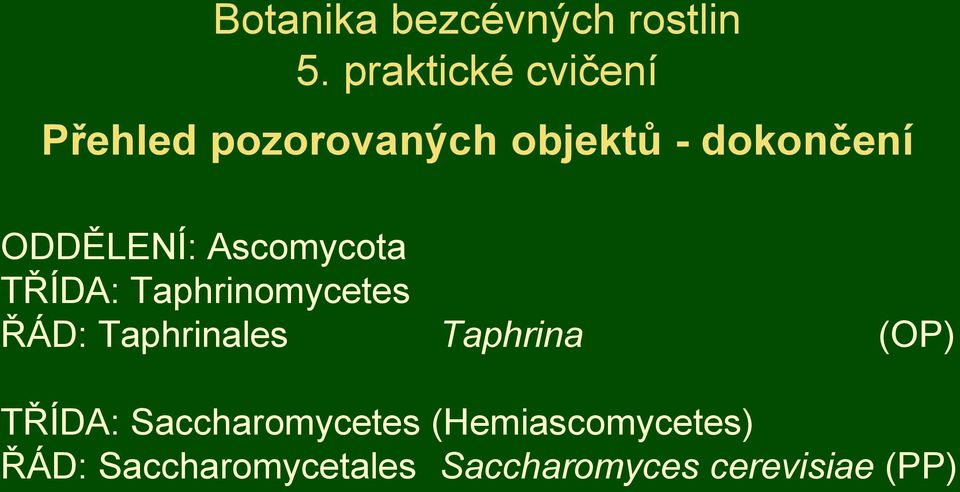 ODDĚLENÍ: Ascomycota TŘÍDA: Taphrinomycetes ŘÁD: Taphrinales