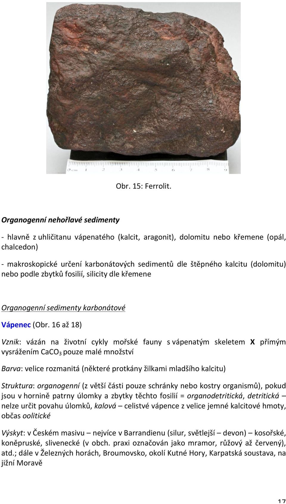 (dolomitu) nebo podle zbytků fosilií, silicity dle křemene Organogenní sedimenty karbonátové Vápenec (Obr.