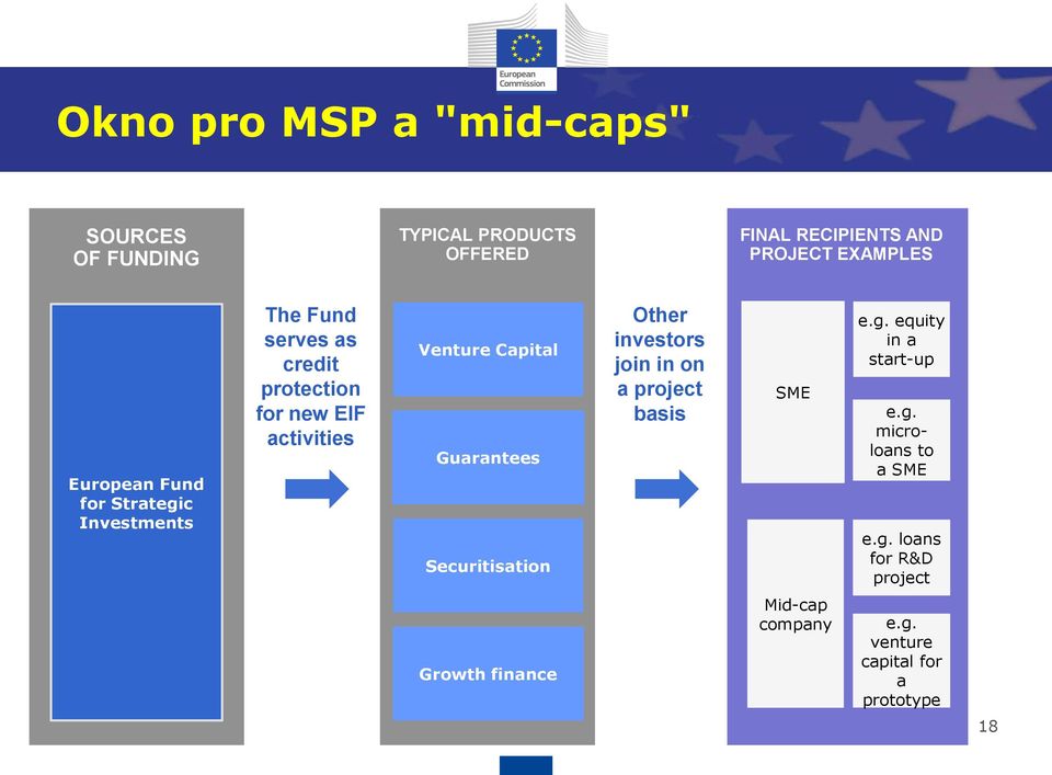 Capital Guarantees Securitisation Other investors join in on a project basis SME e.g. equity in a start-up e.g. microloans to a SME e.