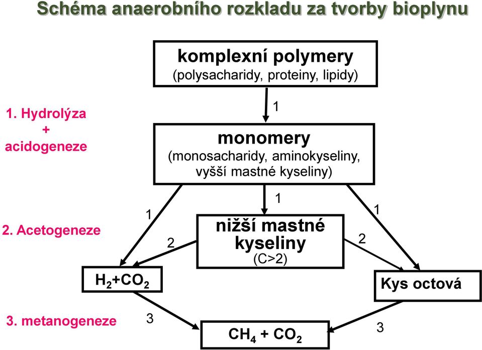 Acetogeneze 1 H 2 +CO 2 monomery (monosacharidy, aminokyseliny, vyšší