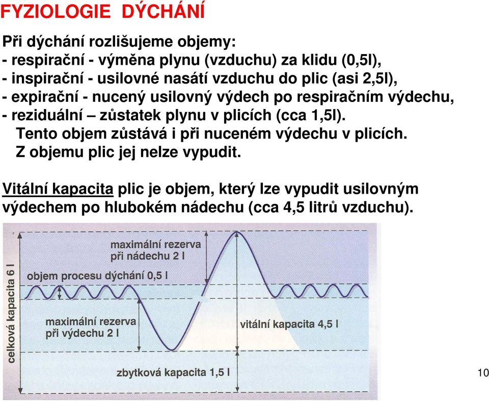 zůstatek plynu v plicích (cca 1,5l). Tento objem zůstává i při nuceném výdechu v plicích.