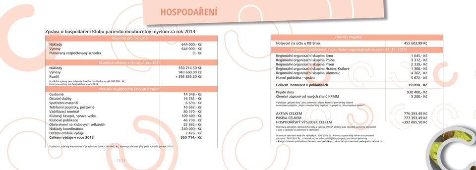 Cestovné Ostatní služby Spotřební materiál Telefonní poplatky, poštovné Vzdělávací seminář Klubový časopis, správa webu Klubové publikace Občerstvení na klubových setkáních Náklady koordinátora