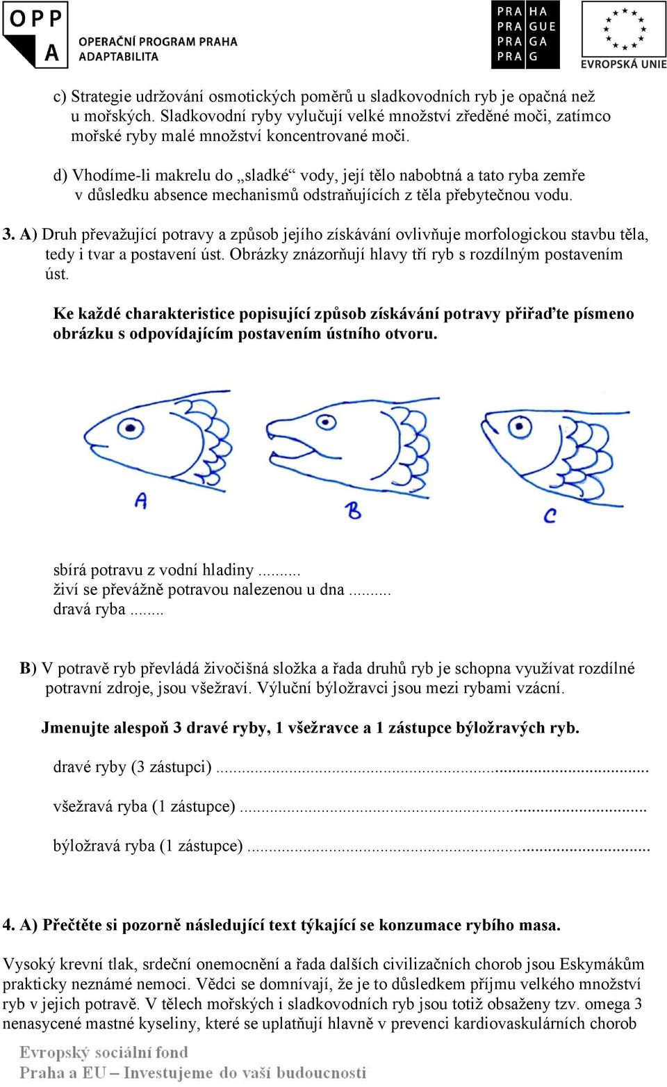 A) Druh převažující potravy a způsob jejího získávání ovlivňuje morfologickou stavbu těla, tedy i tvar a postavení úst. Obrázky znázorňují hlavy tří ryb s rozdílným postavením úst.