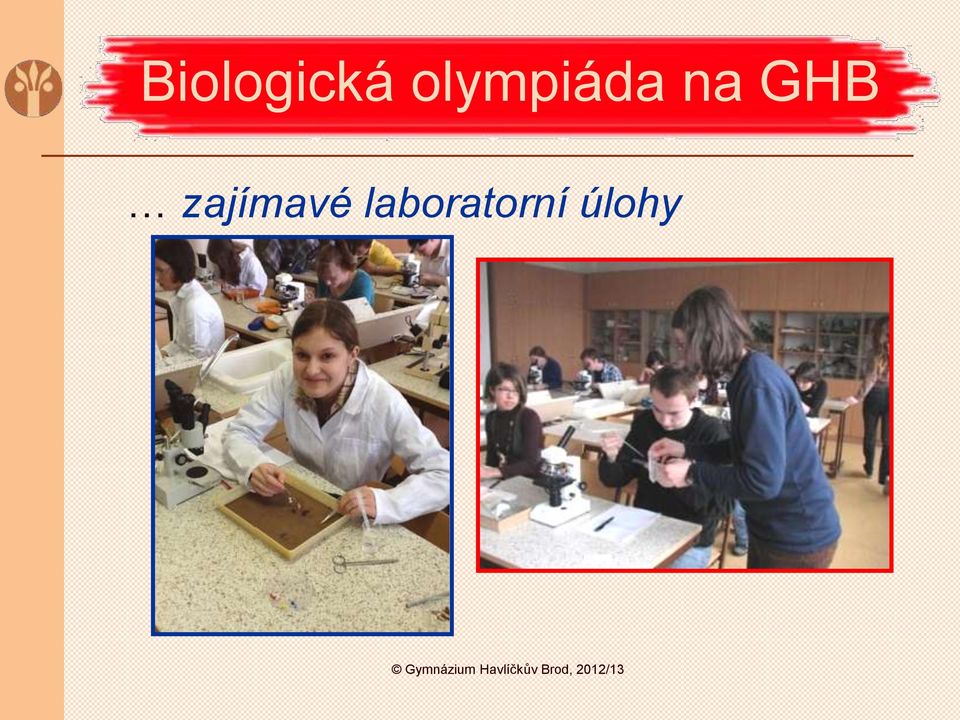 laboratorní úlohy