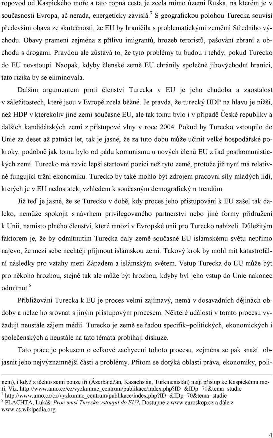 Obavy pramení zejména z přílivu imigrantů, hrozeb teroristů, pašování zbraní a obchodu s drogami. Pravdou ale zůstává to, že tyto problémy tu budou i tehdy, pokud Turecko do EU nevstoupí.