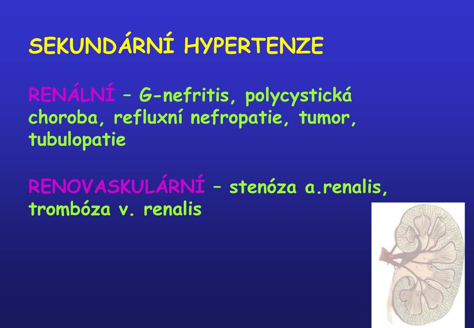 refluxní nefropatie, tumor, tubulopatie