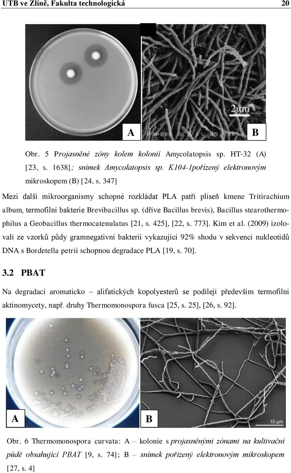 (dříve Bacillus brevis), Bacillus stearothermophilus a Geobacillus thermocatenulatus [21, s. 425], [22, s. 773]. Kim et al.