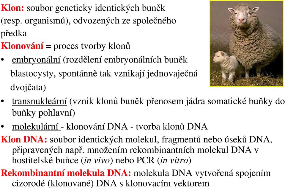 jednovaječná dvojčata) transnukleární (vznik klonů buněk přenosem jádra somatické buňky do buňky pohlavní) molekulární - klonování DNA - tvorba klonů DNA Klon