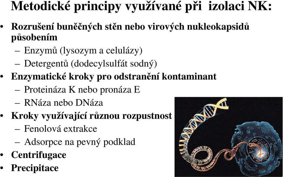 Enzymatické kroky pro odstranění kontaminant Proteináza K nebo pronáza E RNáza nebo DNáza