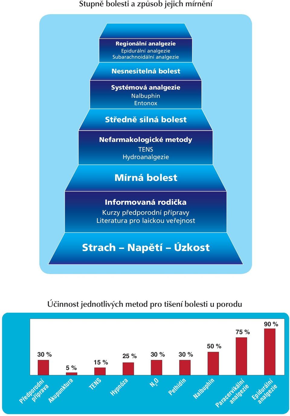 rodička Kurzy předporodní přípravy Literatura pro laickou veřejnost NALBUPHIN PARACERVIKÁLNÍ ANALGEZIE EPIDURÁLNÍ ANALGEZIE 95 % 75 % Strach Napětí Úzkost 30 % 25 % 30 % 30 % 15 % 5 % 40 %