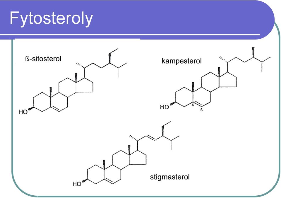 kampesterol