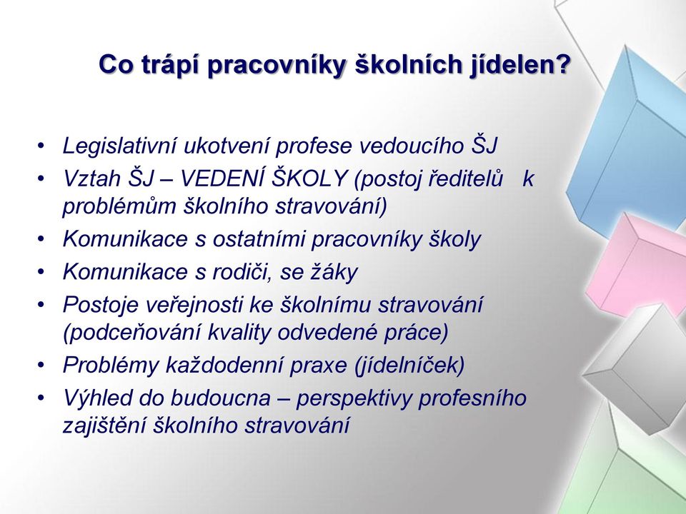 stravování) Komunikace s ostatními pracovníky školy Komunikace s rodiči, se žáky Postoje veřejnosti ke