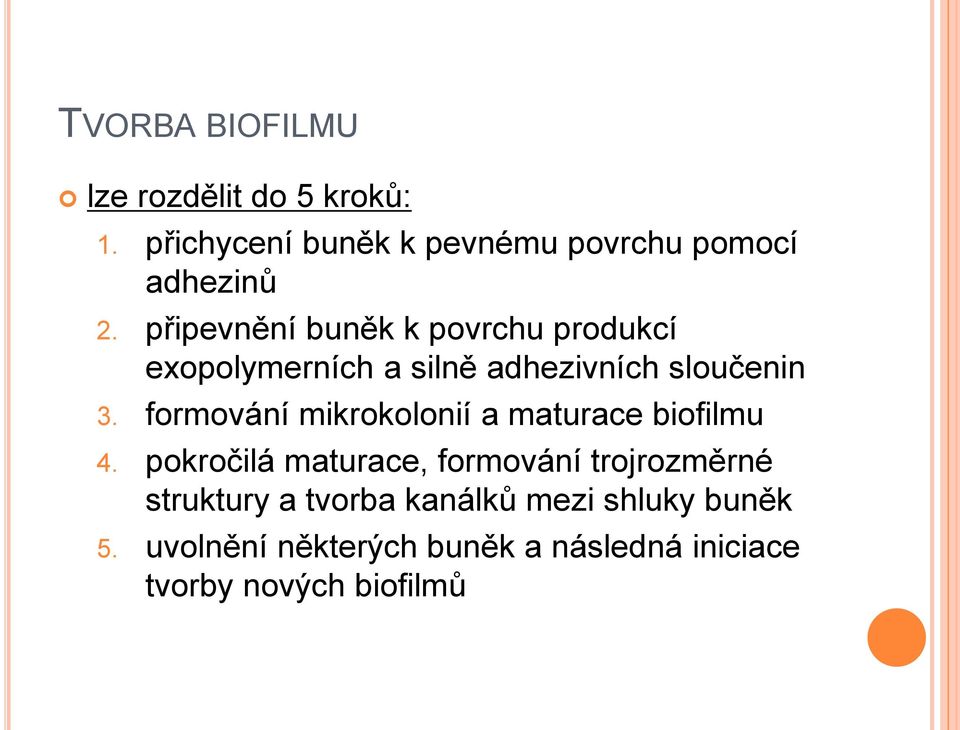 formování mikrokolonií a maturace biofilmu 4.