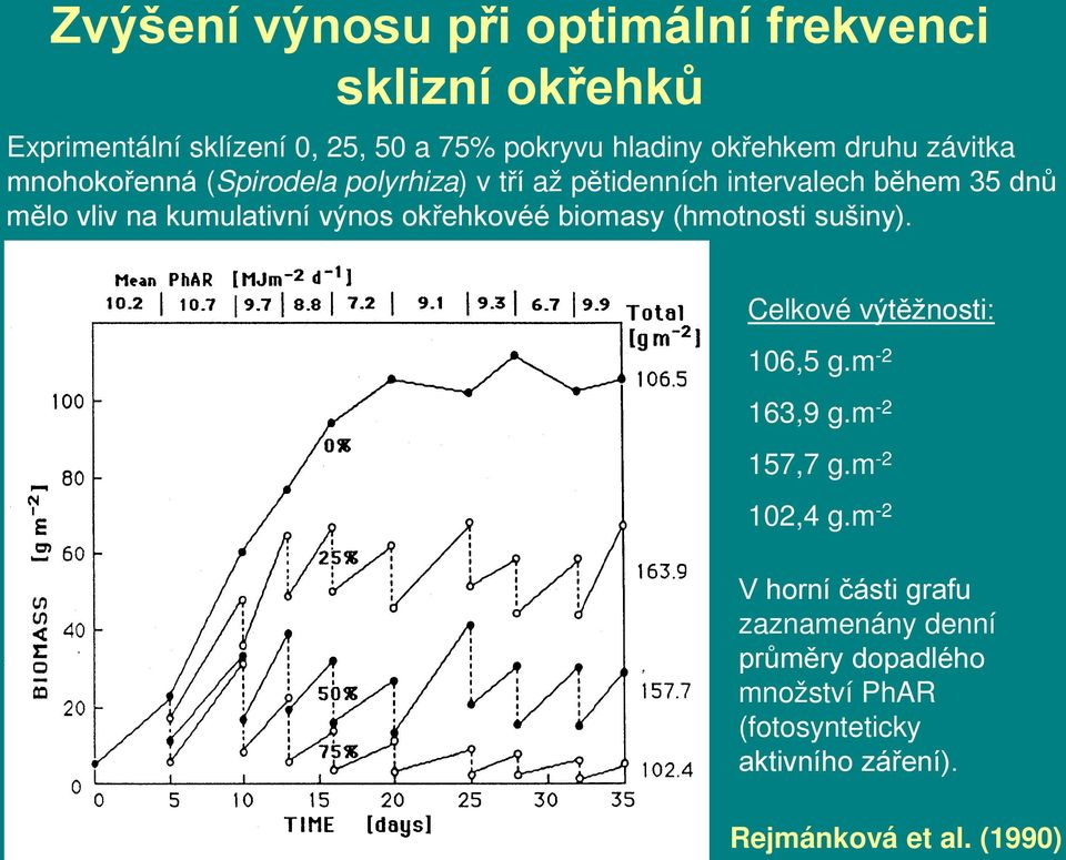 výnos okřehkovéé biomasy (hmotnosti sušiny). Celkové výtěžnosti: 106,5 g.m -2 163,9 g.m -2 157,7 g.m -2 102,4 g.