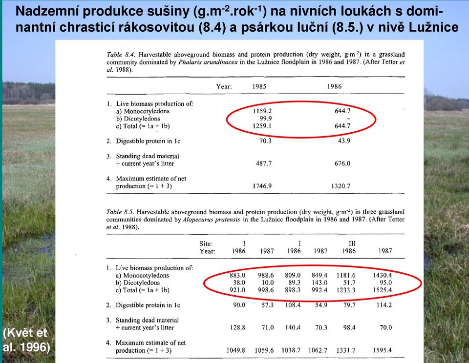 dominantní chrasticí rákosovitou (8.