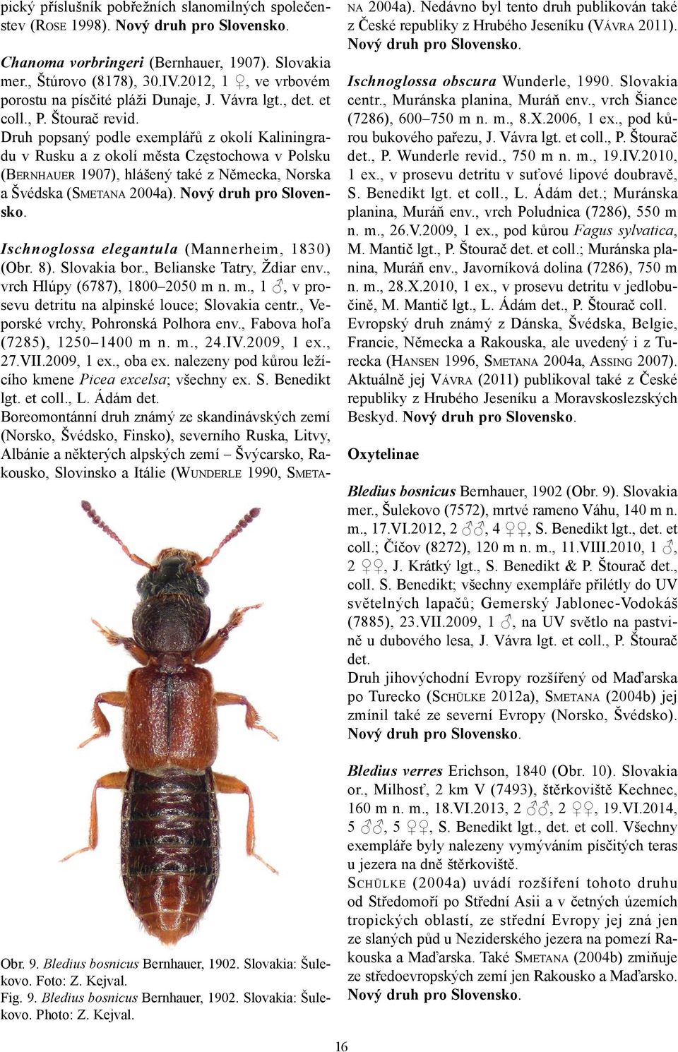 Druh popsaný podle exemplářů z okolí Kaliningradu v Rusku a z okolí města Częstochowa v Polsku (BERNHAUER 1907), hlášený také z Německa, Norska a Švédska (SMETANA 2004a). Nový druh pro Slovensko.