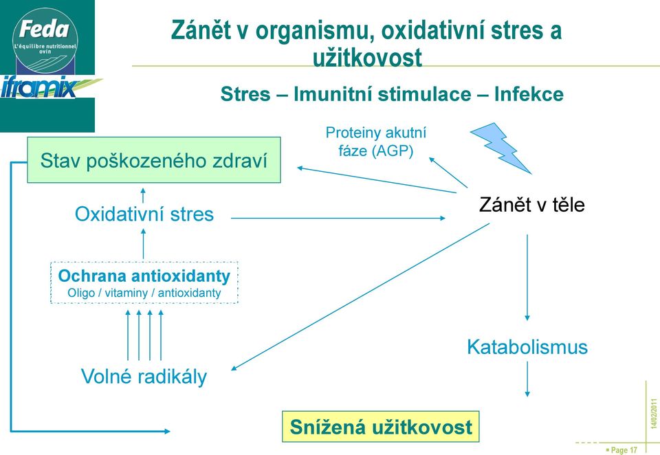 (AGP) Oxidativní stres Zánět v těle Ochrana antioxidanty Oligo /