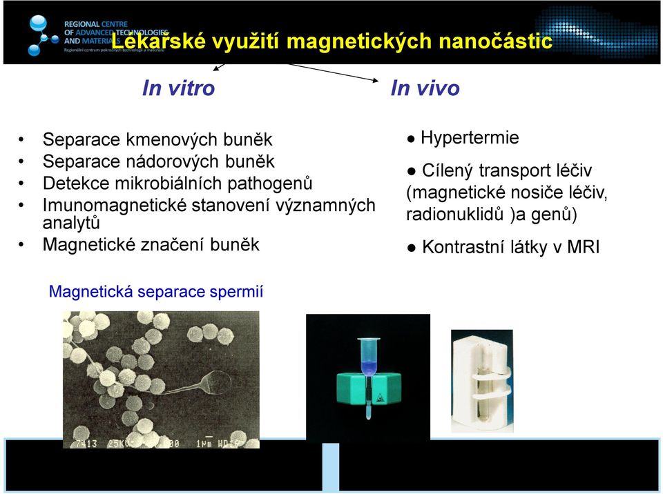 analytů Magnetické značení buněk In vivo Hypertermie Cílený transport léčiv