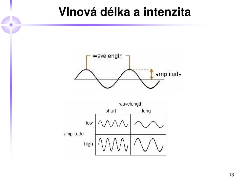 intenzita