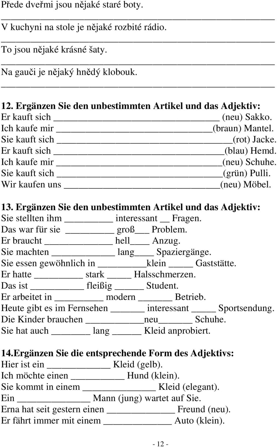 Sie kauft sich (grün) Pulli. Wir kaufen uns (neu) Möbel. 13. Ergänzen Sie den unbestimmten Artikel und das Adjektiv: Sie stellten ihm interessant Fragen. Das war für sie groß Problem.