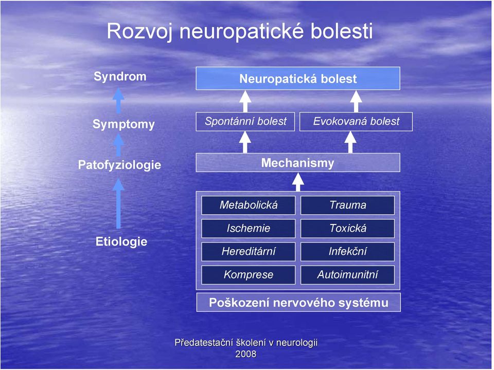 Mechanismy Etiologie Metabolická Ischemie Hereditární