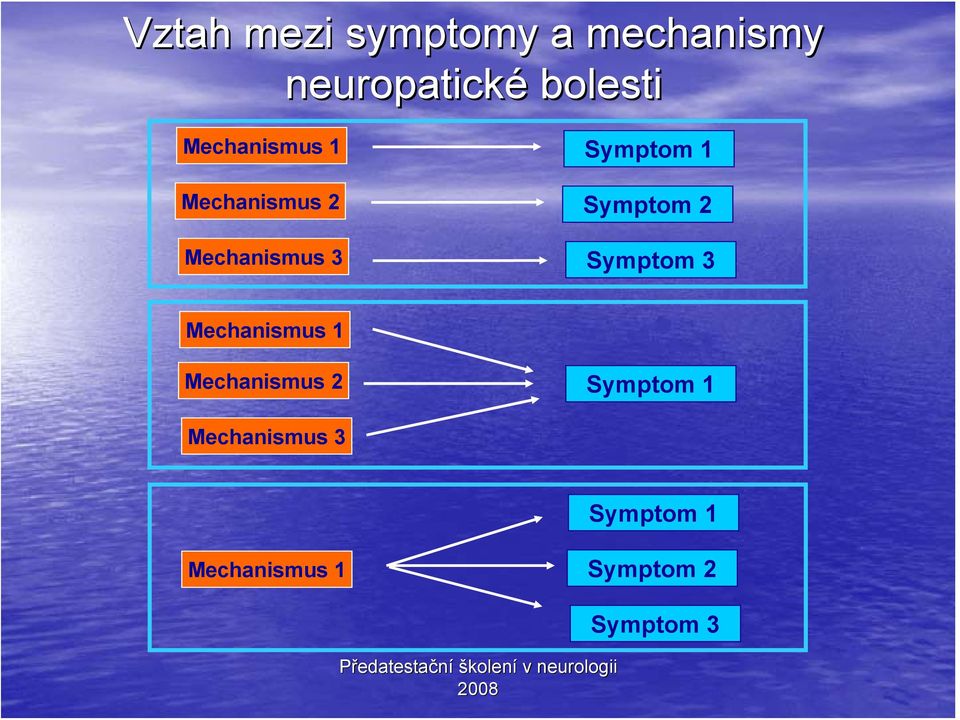 Symptom 2 Symptom 3 Mechanismus 1 Mechanismus 2 Symptom
