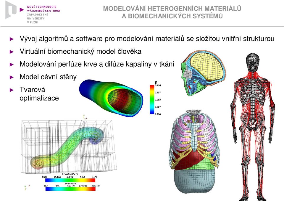 strukturou Virtuální biomechanický model člověka Modelování perfúze