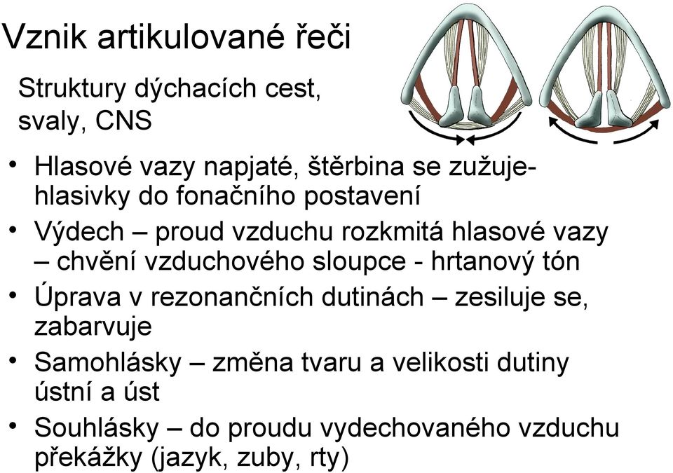 vzduchového sloupce - hrtanový tón Úprava v rezonančních dutinách zesiluje se, zabarvuje