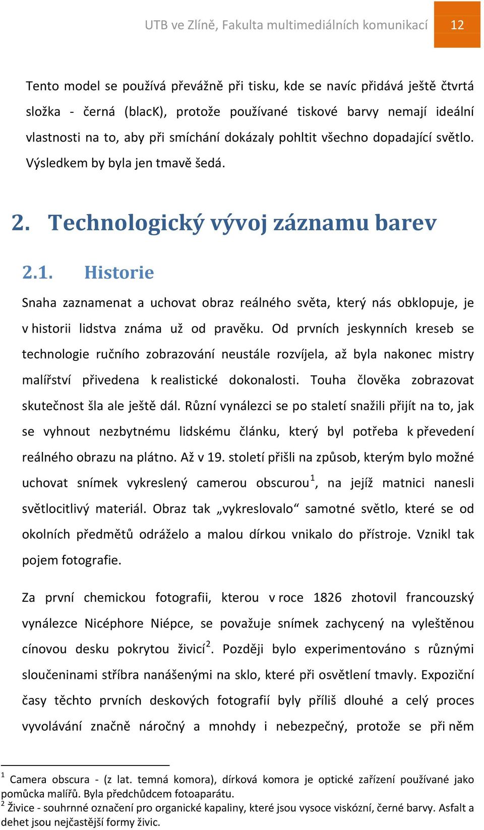 Historie Snaha zaznamenat a uchovat obraz reálného světa, který nás obklopuje, je v historii lidstva známa už od pravěku.