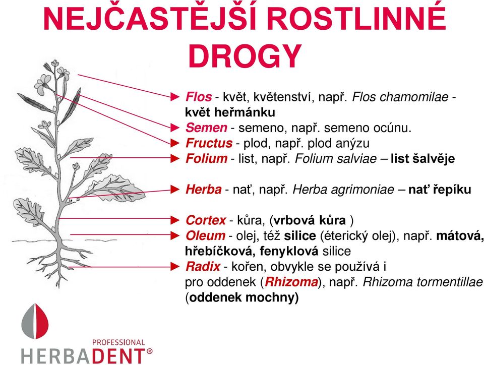 Herba agrimoniae nať řepíku Cortex - kůra, (vrbová kůra ) Oleum - olej, též silice (éterický olej), např.