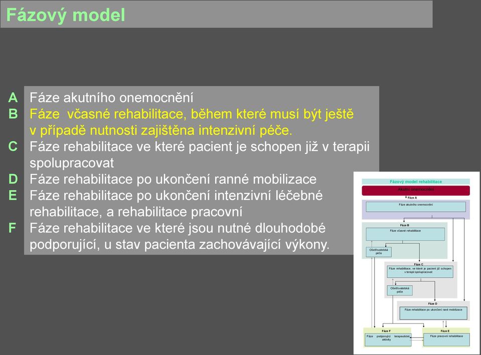 pracovní Fáze rehabilitace ve které jsou nutné dlouhodobé podporující, u stav pacienta zachovávající výkony.