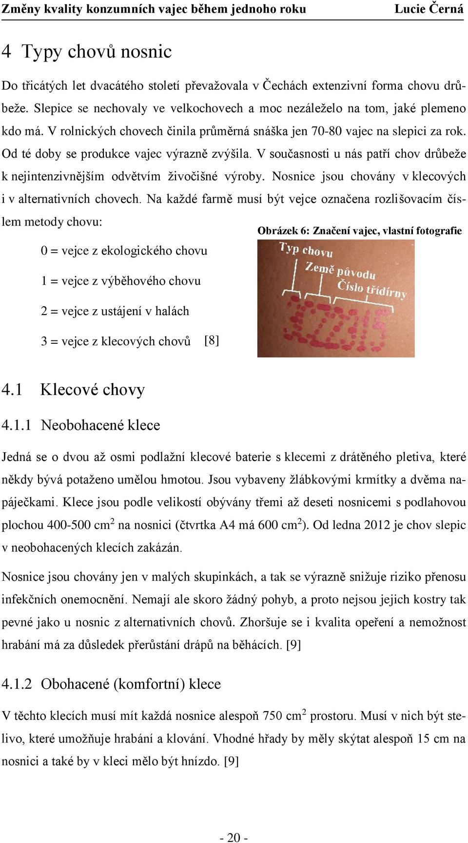 V současnosti u nás patří chov drůbeže k nejintenzivnějším odvětvím živočišné výroby. Nosnice jsou chovány v klecových i v alternativních chovech.