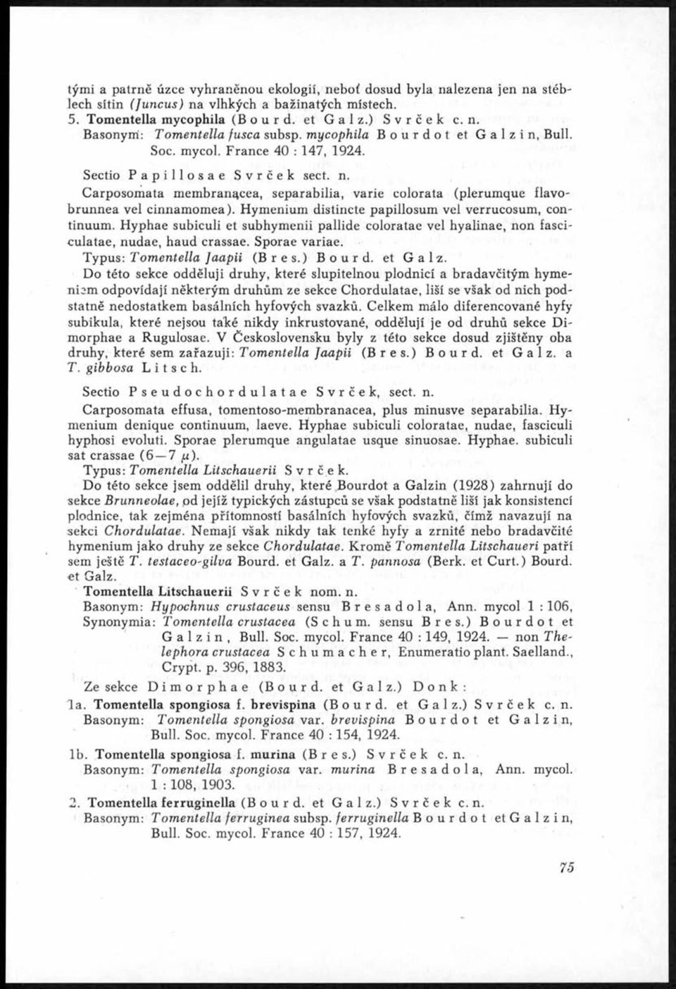 Hymenium distincte papillosum vel verrucosum, continuum. Hyphae subiculi et subhymenii pallide coloratae vel hyalinae, non fasciculatae, nudae, haud crassae. Sporae variae.