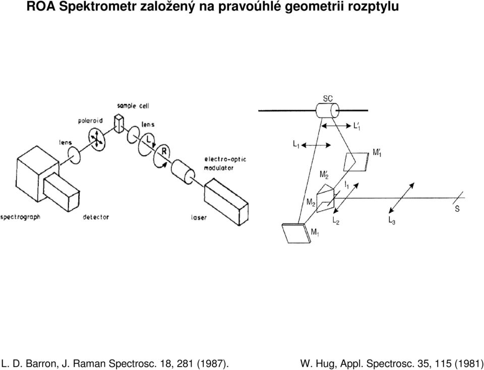 Barron, J. Raman Spectrosc.