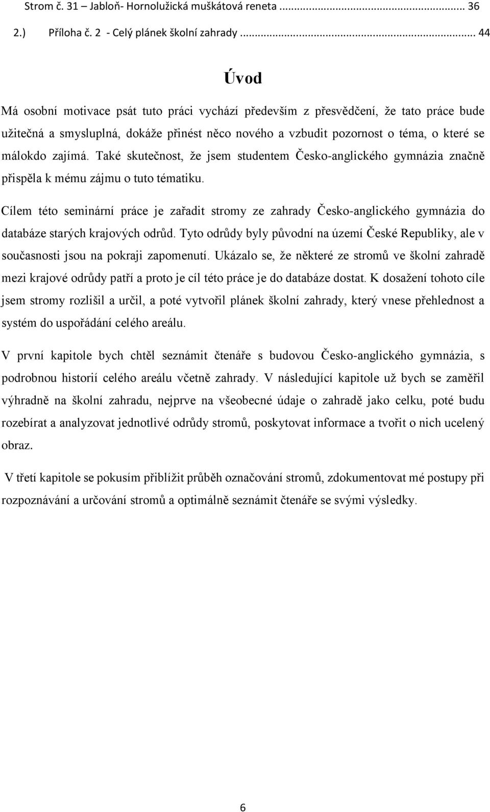 Také skutečnost, že jsem studentem Česko-anglického gymnázia značně přispěla k mému zájmu o tuto tématiku.