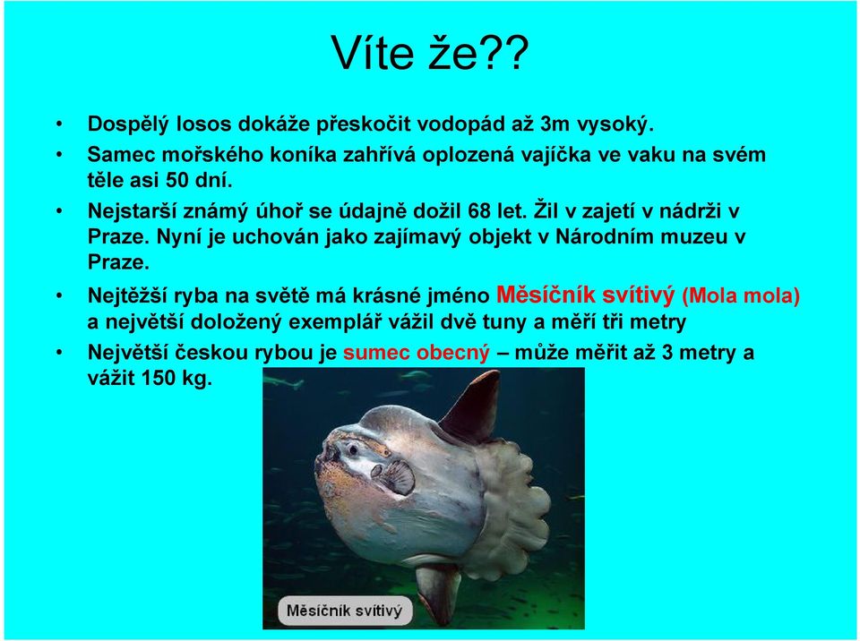 Žil v zajetí v nádrži v Praze. Nyní je uchován jako zajímavý objekt v Národním muzeu v Praze.